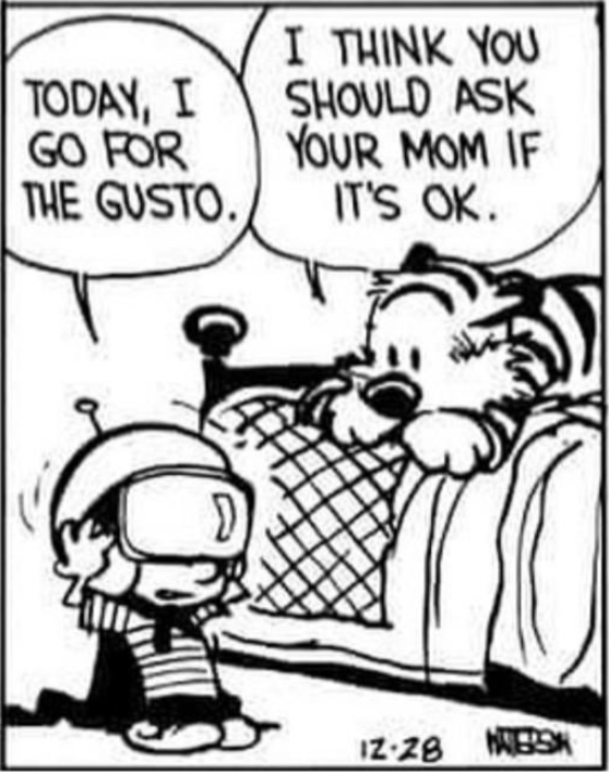 Calvin and Hobbes